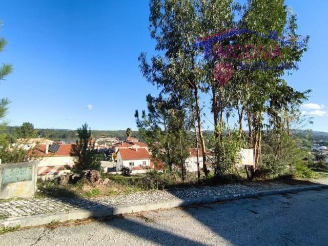 Terreno venda em Ansião