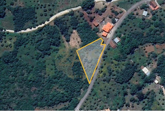 Terreno venda em Ansião, Leiria