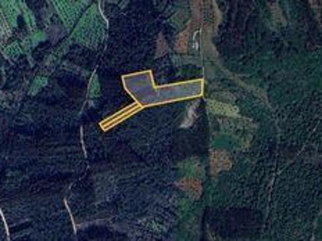 Terreno venda em Ansião, Leiria