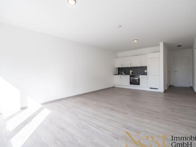 Apartment mieten in Altstadtviertel, Linz