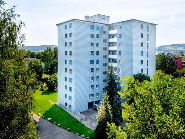 Wohnung mieten in Wohlen (AG), Aargau