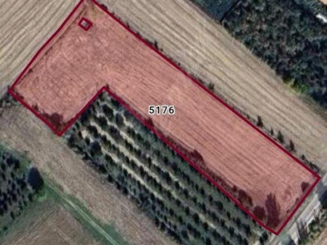 Elmali, Antalya içerisinde satılık Arsa