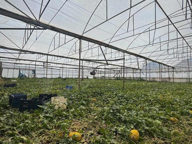 Aksu, Antalya içerisinde satılık Arsa