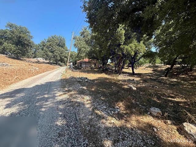 Antalya içerisinde satılık Tarla