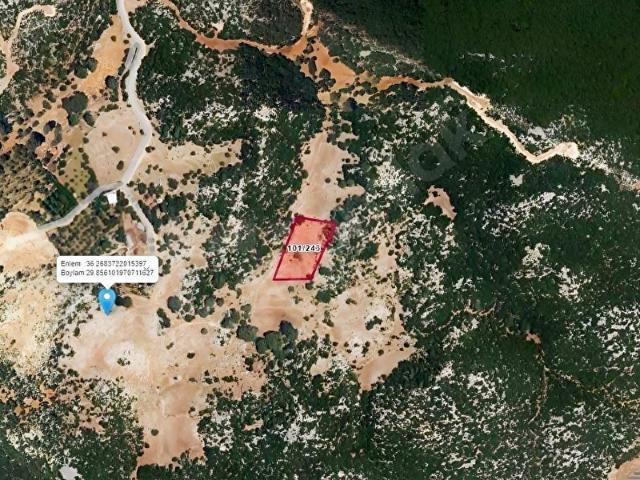 Davazlar, Demre içerisinde satılık Arsa
