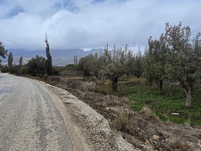 Elmali, Antalya içerisinde satılık mülk