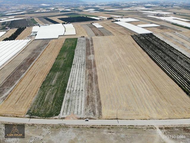 Elmali, Antalya içerisinde satılık Arsa