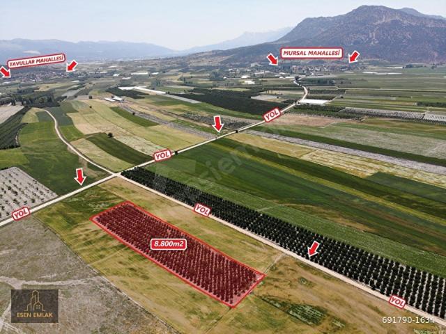 Elmali, Antalya içerisinde satılık mülk