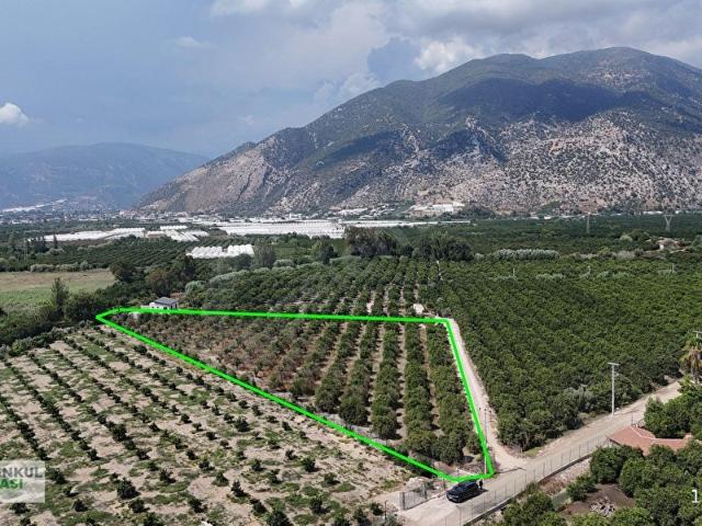 Finike, Antalya içerisinde satılık mülk