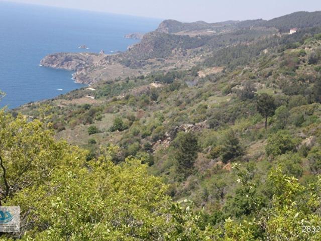 Gazipaşa, Antalya içerisinde satılık Arsa