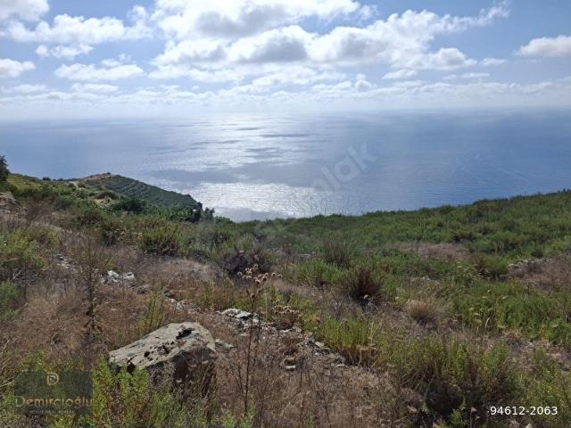 Gazipaşa, Antalya içerisinde satılık Arsa