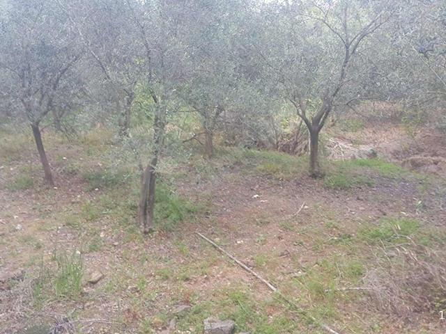 Gazipaşa, Antalya içerisinde satılık mülk
