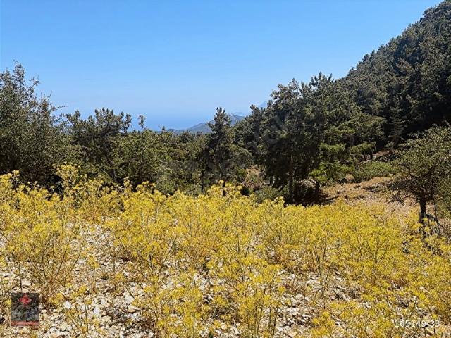 Kemer, Antalya içerisinde satılık Arsa