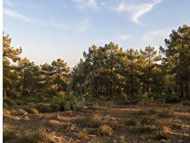 Kızıllı, Kepez içerisinde satılık mülk
