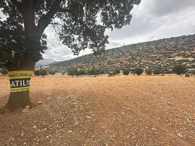 Korkuteli, Antalya içerisinde satılık Arsa
