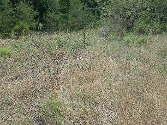 Kumluca, Antalya içerisinde satılık Arsa
