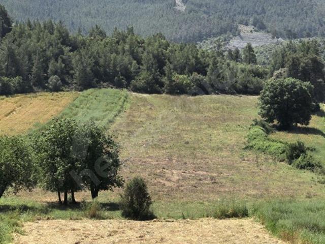 Manavgat, Antalya içerisinde satılık Arsa