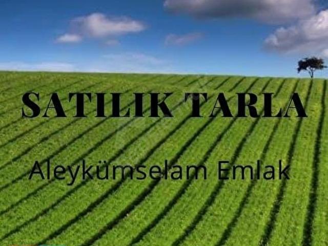 Bereket, Manavgat içerisinde satılık Arsa