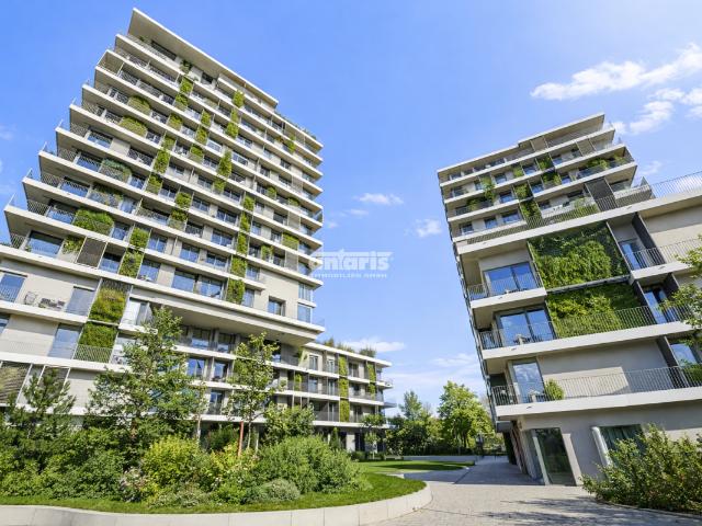 Wohnung mieten in Erfurt, Thüringen