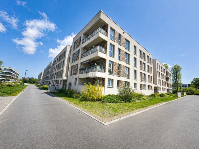 Wohnung mieten in Erfurt, Thüringen