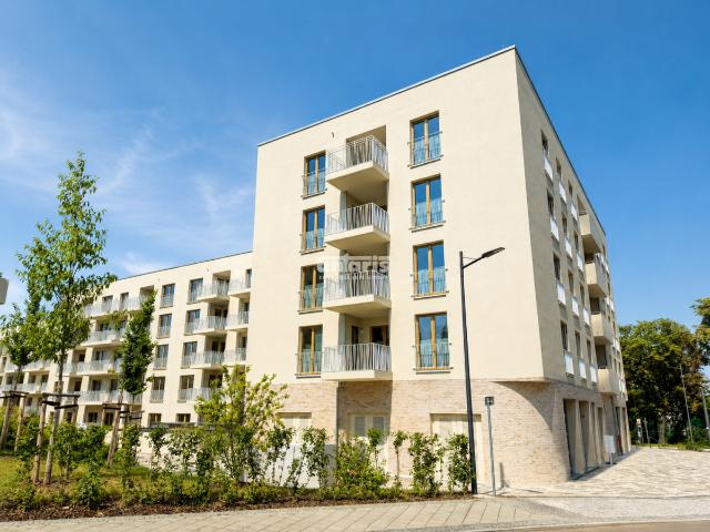 Wohnung mieten in Erfurt, Thüringen