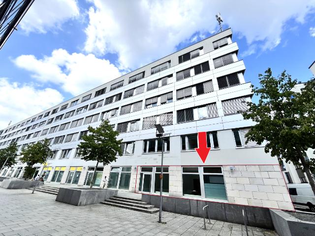Haus mieten in Dresden, Sachsen