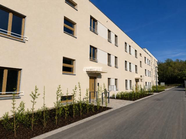 Wohnung mieten in Erfurt, Thüringen