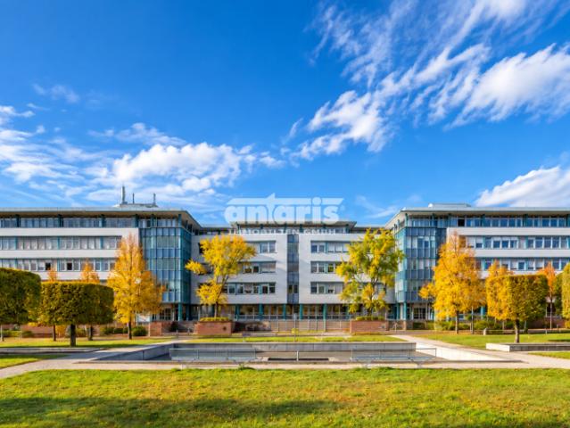 Wohnung mieten in Erfurt