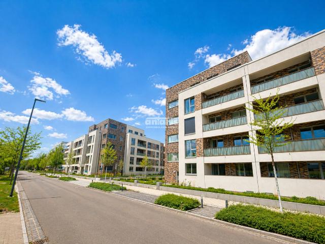 Wohnung mieten in Erfurt, Thüringen