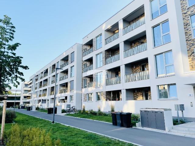 Wohnung mieten in Erfurt, Thüringen