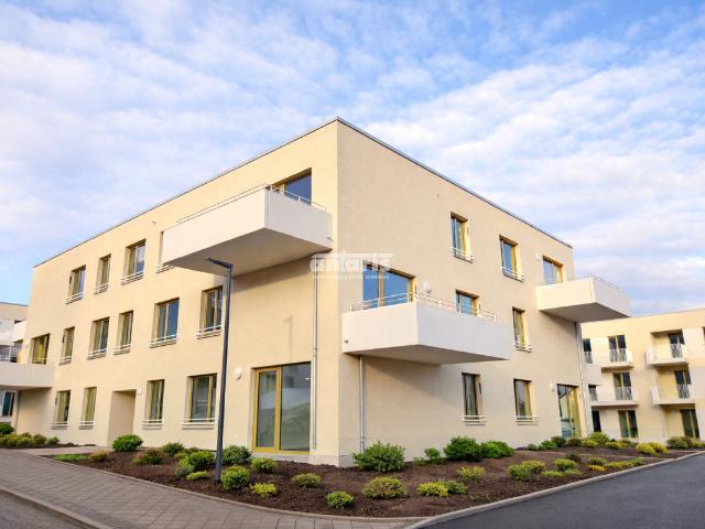 Wohnung mieten in Erfurt, Thüringen