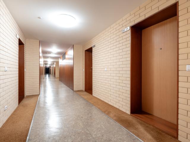 Estudio alugar em Porto, Monte Aventino