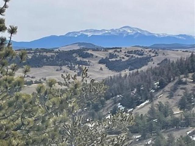 House for rent in Hartsel, Colorado