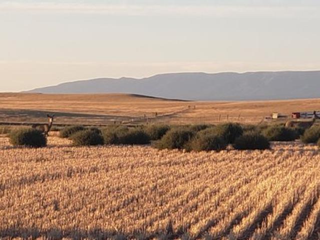 Land for sale in Montana