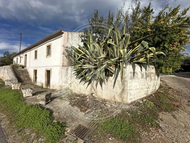 Casa venda em Rego Da Murta, Santarém