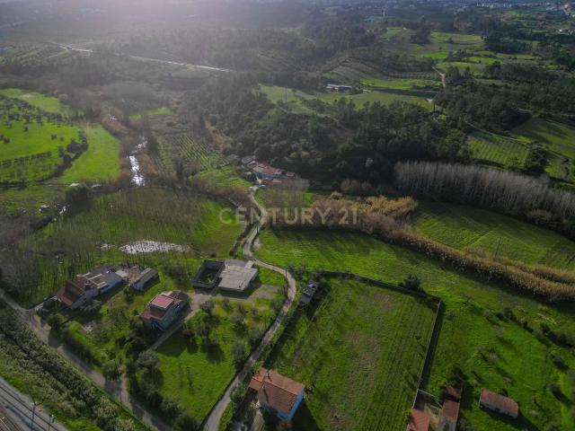 Loja venda em Coimbrã, Botão