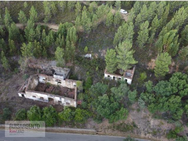 Terreno venda em Castelo Branco