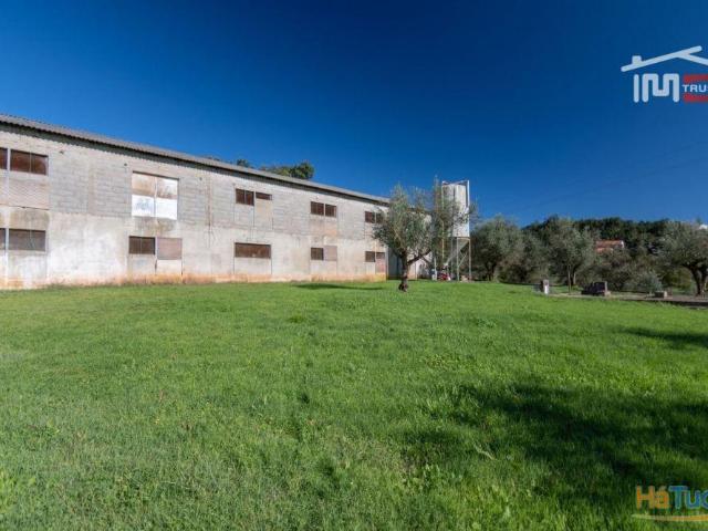 Armazém alugar em Tomar, Santarém