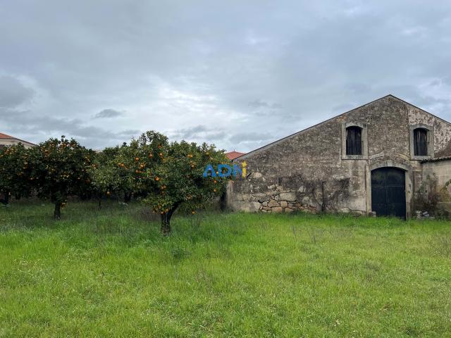 Quinta venda em Castelo Branco