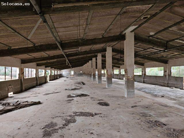 Local Comercial en venta en Freginals, Tarragona