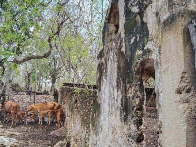 Rancho en venta en Espita, Yucatán