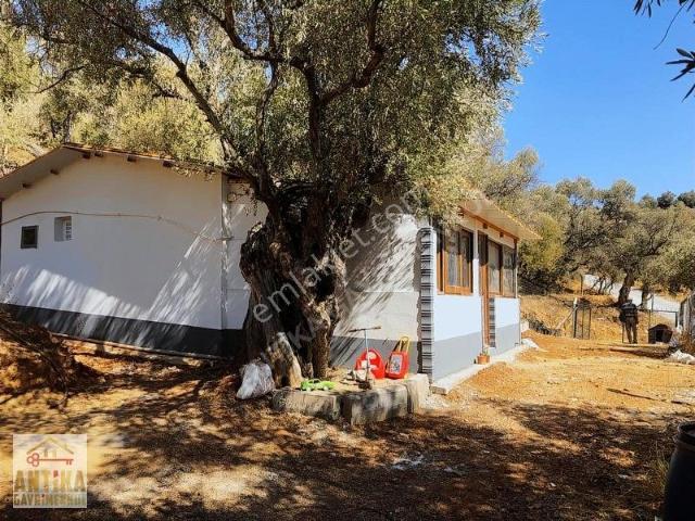 Bayindir, İzmir içerisinde kiralık Villa