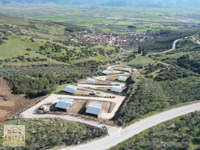 Doyranlı Mahallesi, Tire içerisinde satılık Villa