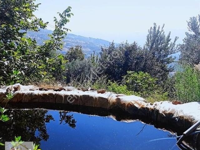Kiraz, İzmir içerisinde satılık Villa