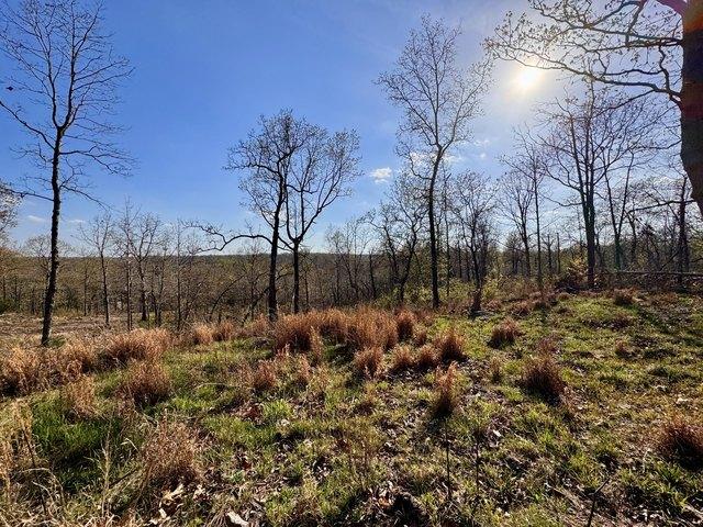 Land for sale in Ark