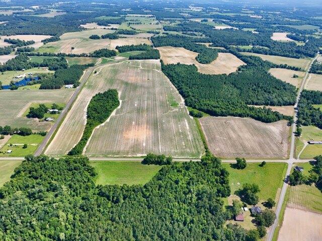 Land for sale in Ashford, Alabama