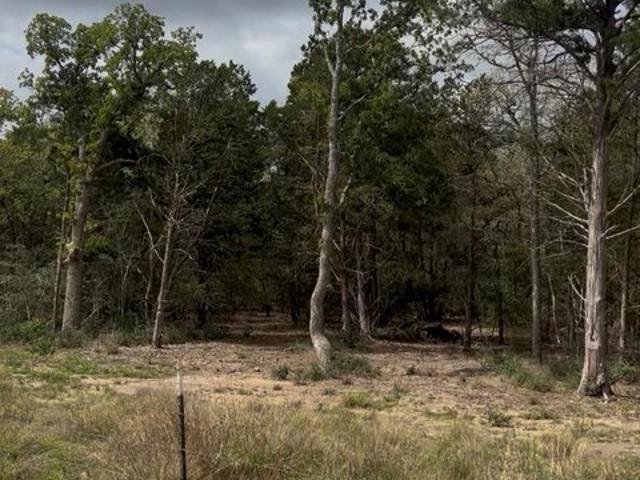 Land for sale in Paige, Texas