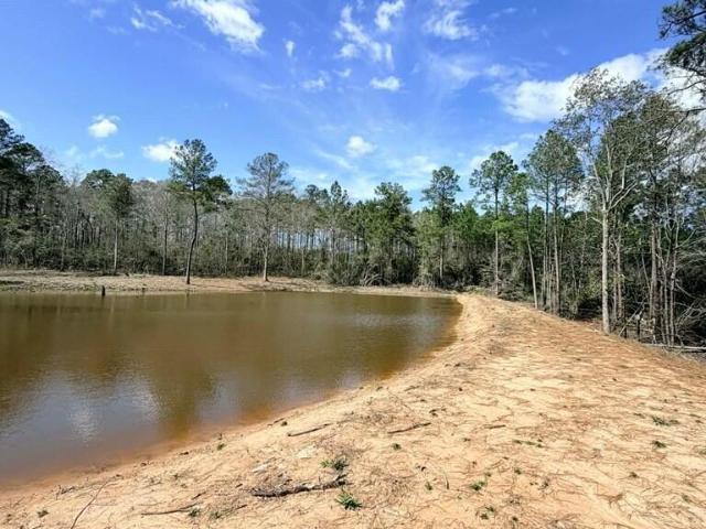 Land for sale in Poplarville, Mississippi