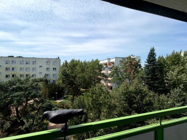 Mieszkanie na sprzedaż w Toruń, Kujawsko-pomorskie