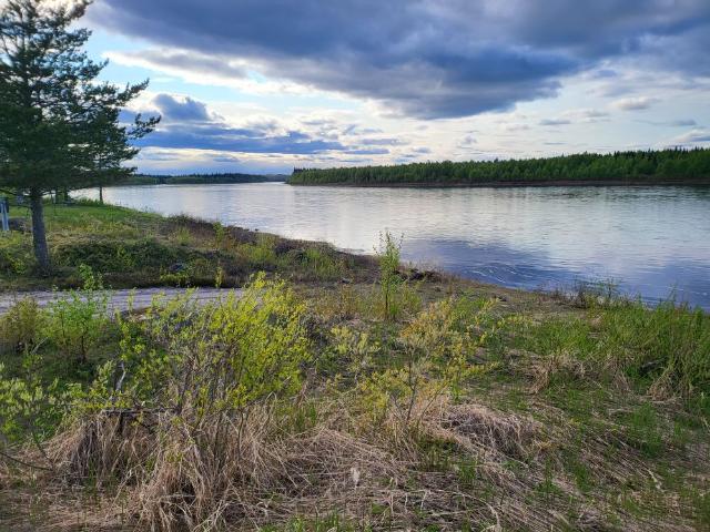 Stuga hyra i Norrbotten